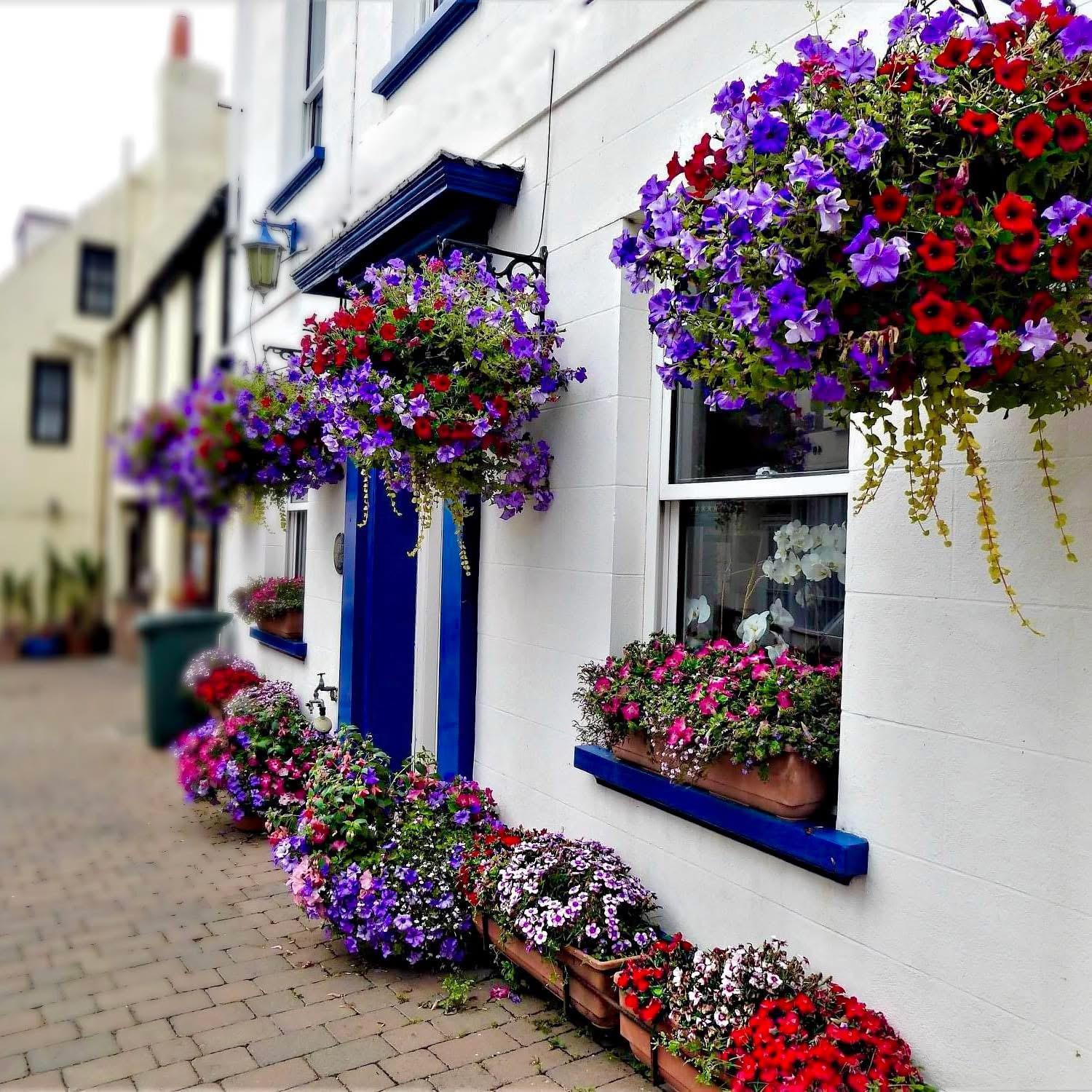 Bonjour Guest House Braye Exteriér fotografie